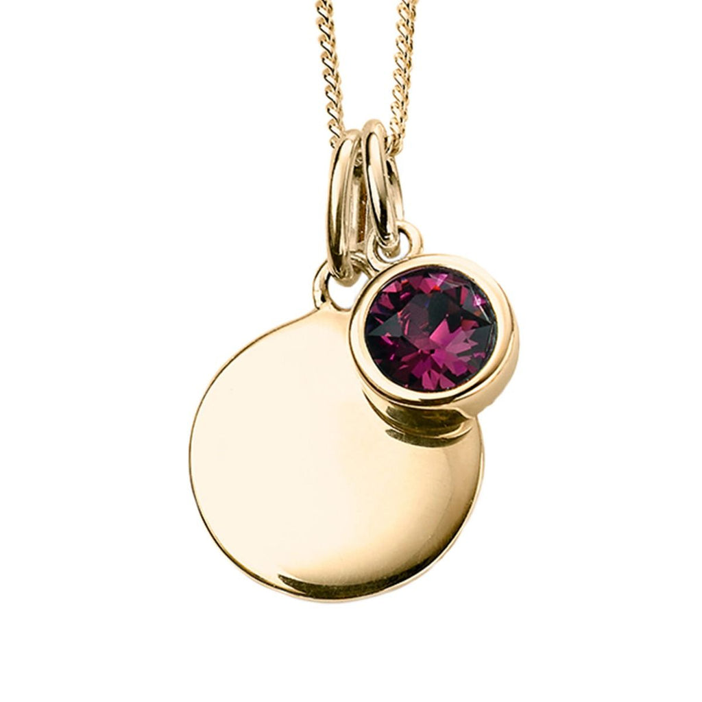 Silver 925 Gold Plated CZ Birthstone and Disc Pendant Necklace - February - Free Engraving - NiaYou Jewellery